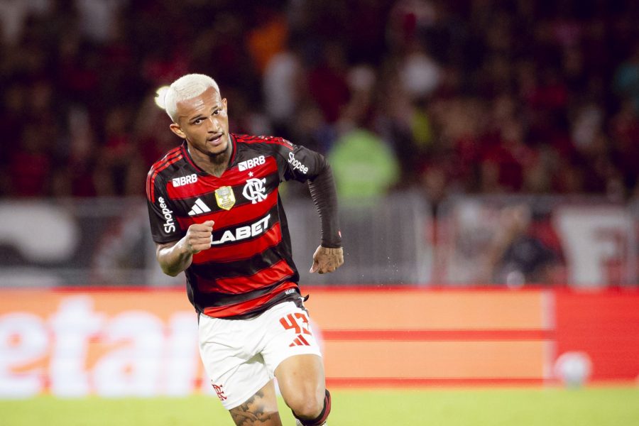 54652783895_39ec098aa3_o