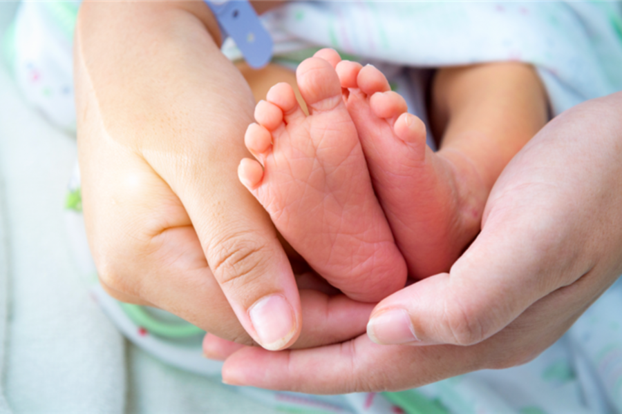 IMAGENS PARA O SITE (1)