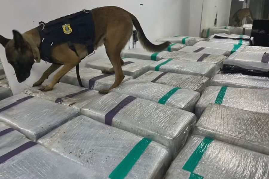 IMAGENS PARA O SITE (1)