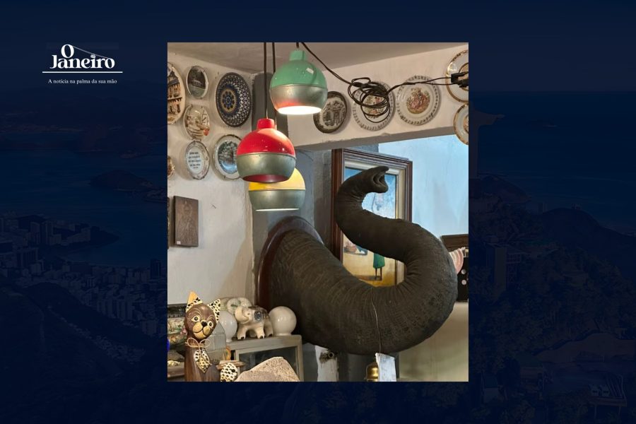 IMAGENS PARA O SITE (1)