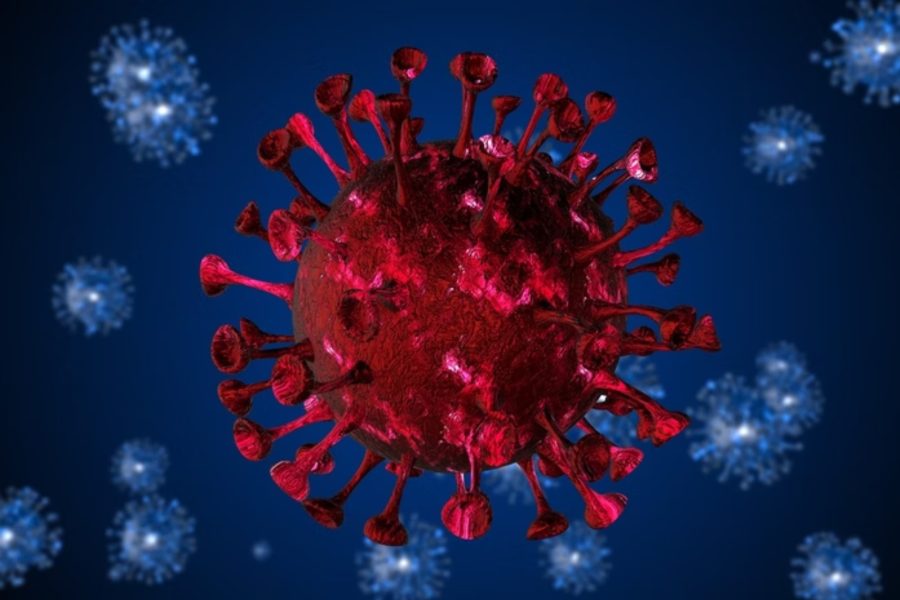 IMAGENS PARA O SITE (10)