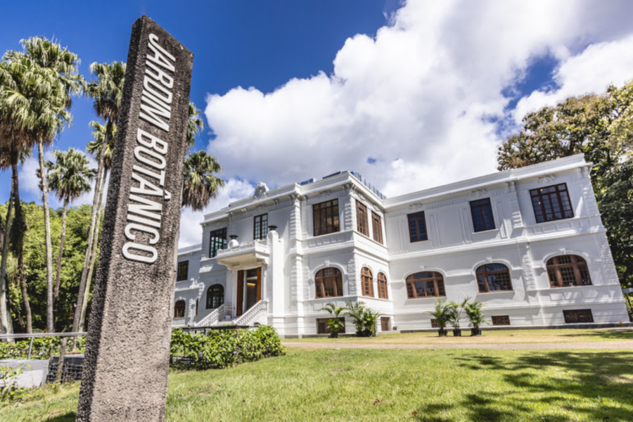 IMAGENS PARA O SITE (11)