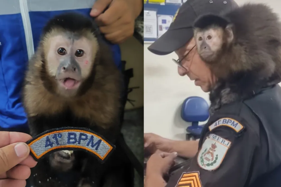 IMAGENS PARA O SITE (11)