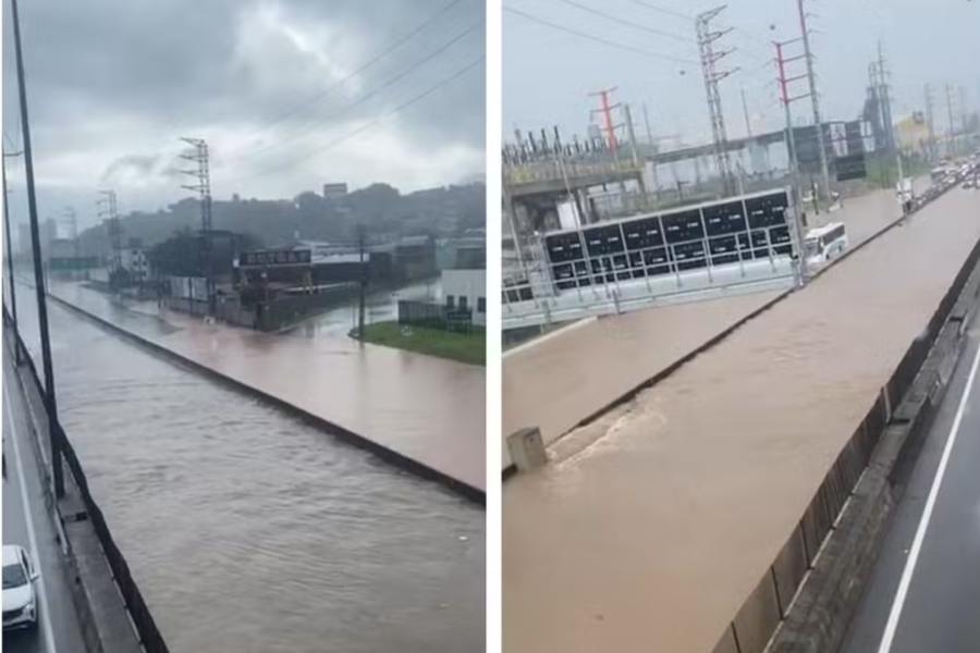 IMAGENS PARA O SITE (11)