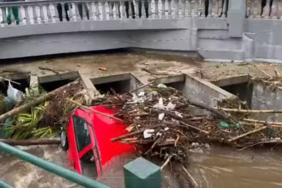 IMAGENS PARA O SITE (11)