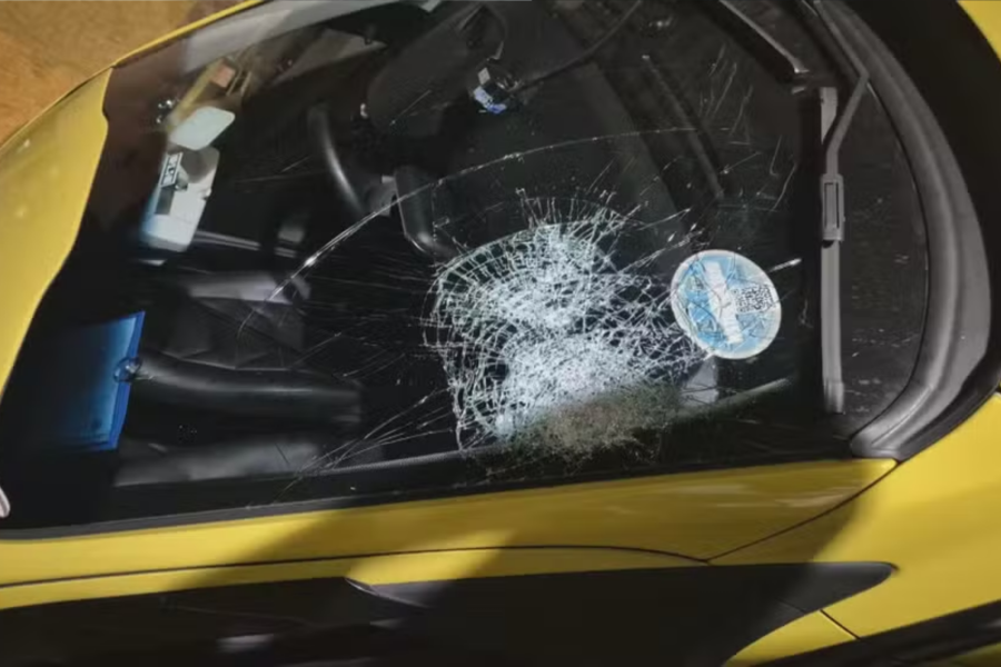 IMAGENS PARA O SITE (11)