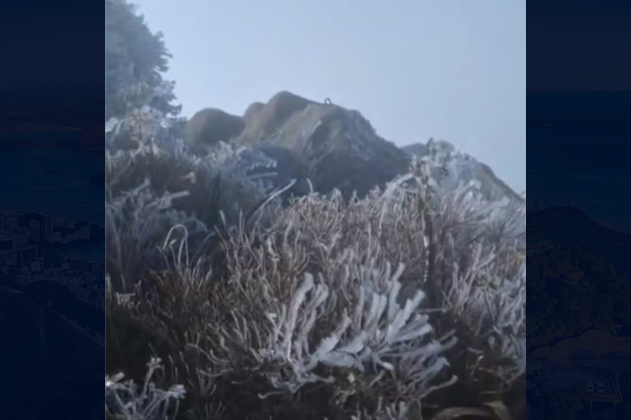 IMAGENS PARA O SITE (12)