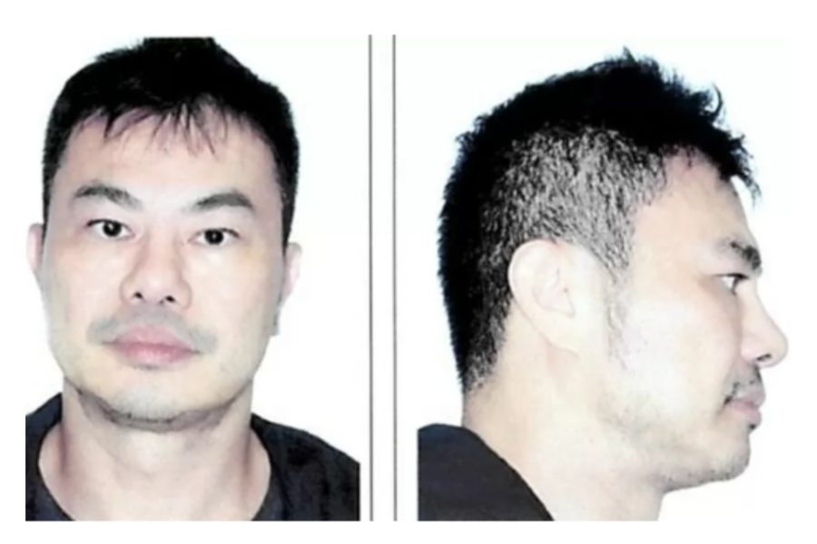 IMAGENS PARA O SITE (14)