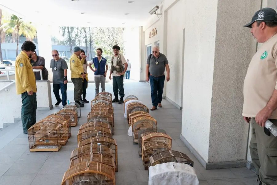 IMAGENS PARA O SITE (14)