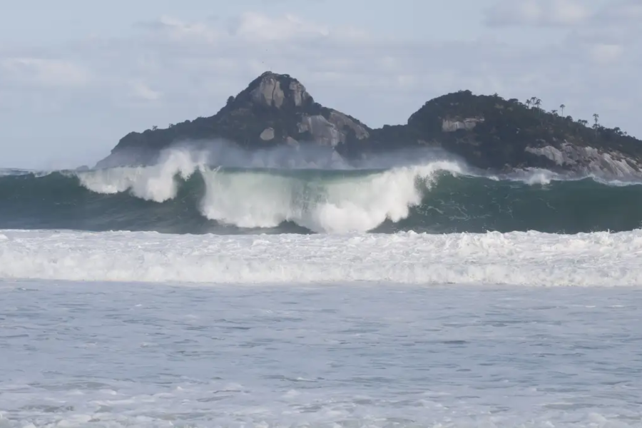 IMAGENS PARA O SITE (14)