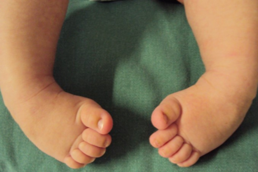 IMAGENS PARA O SITE (15)