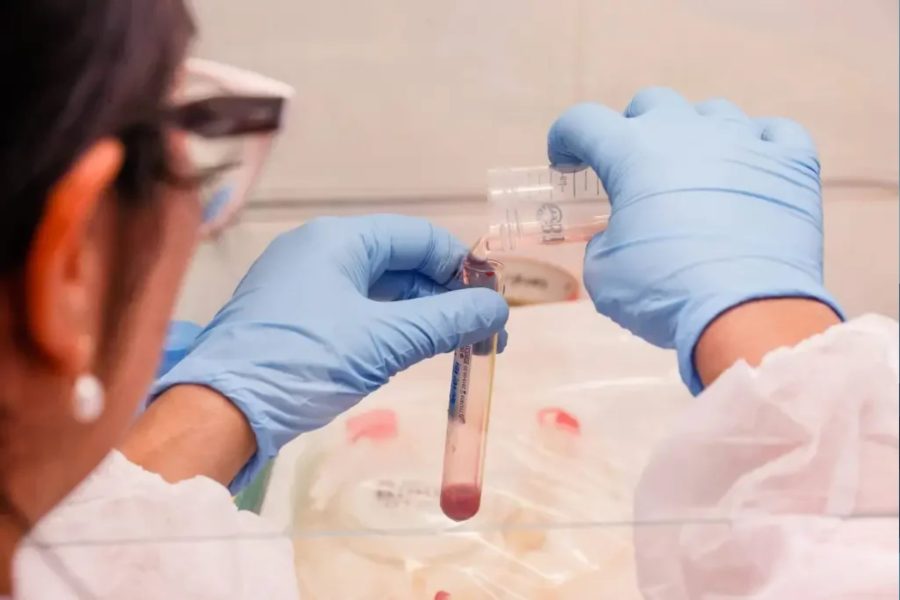 IMAGENS PARA O SITE (17)