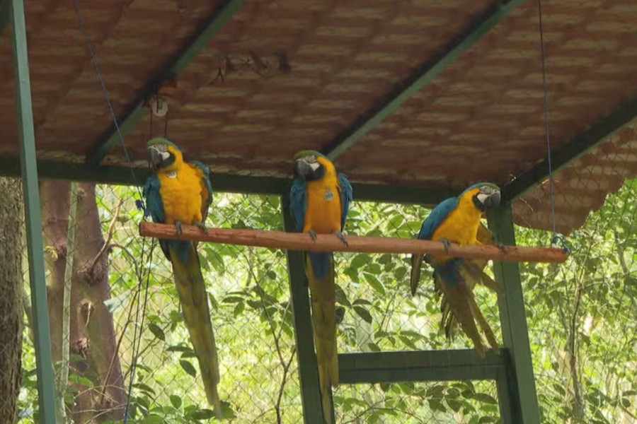 IMAGENS PARA O SITE (18)