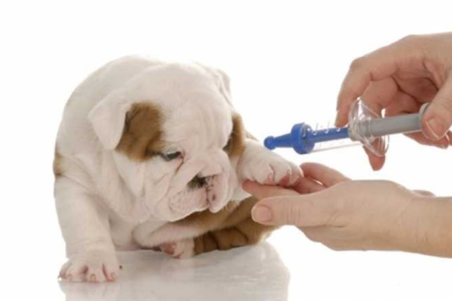 IMAGENS PARA O SITE (19)