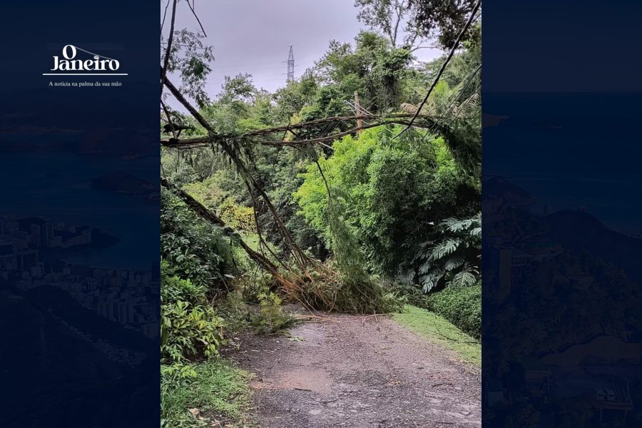 IMAGENS PARA O SITE (19)