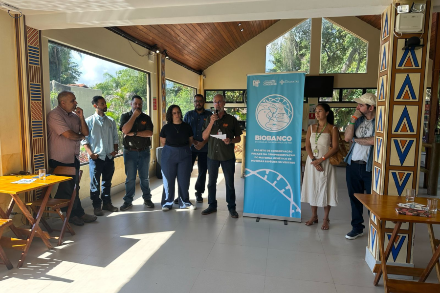 IMAGENS PARA O SITE (2)