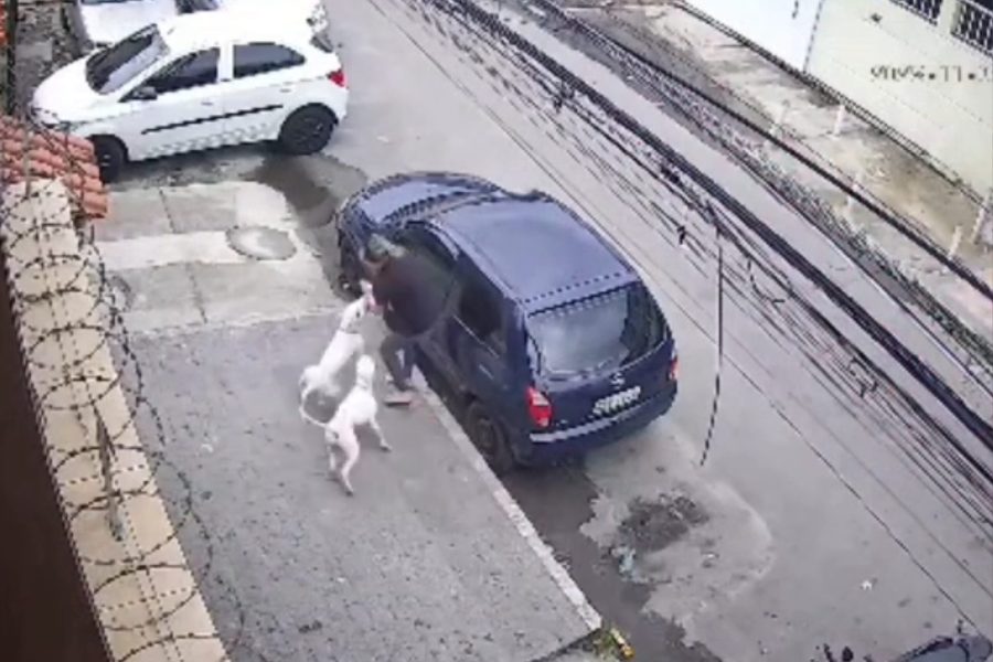 IMAGENS PARA O SITE (2)