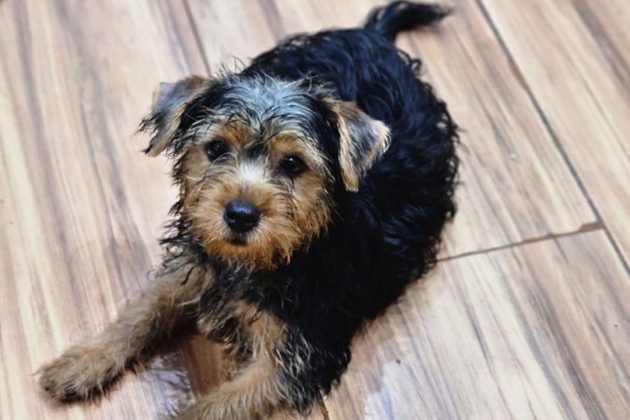 IMAGENS PARA O SITE (2)