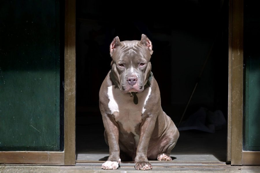 IMAGENS PARA O SITE (2)