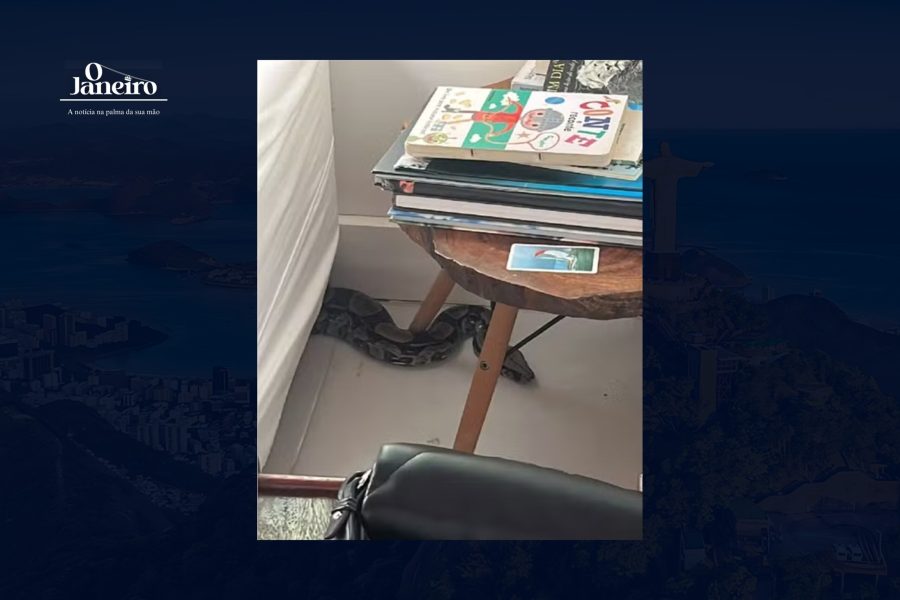 IMAGENS PARA O SITE (2)