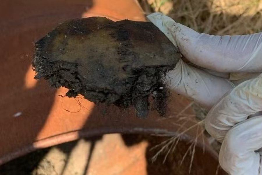 IMAGENS PARA O SITE (20)