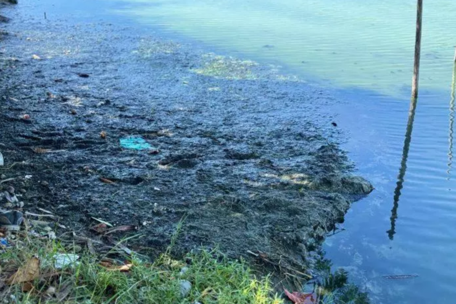 IMAGENS PARA O SITE - 2025-05-15T122041.514