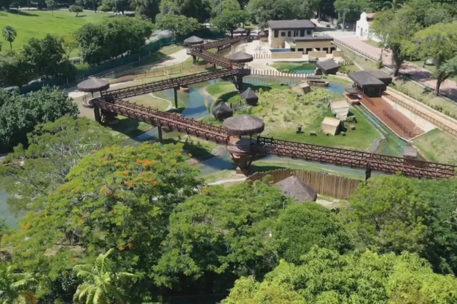 IMAGENS PARA O SITE - 2025-07-24T111158.985