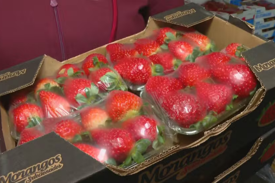 IMAGENS PARA O SITE - 2025-07-28T081431.515