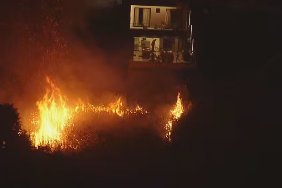 IMAGENS PARA O SITE - 2025-07-29T162423.760