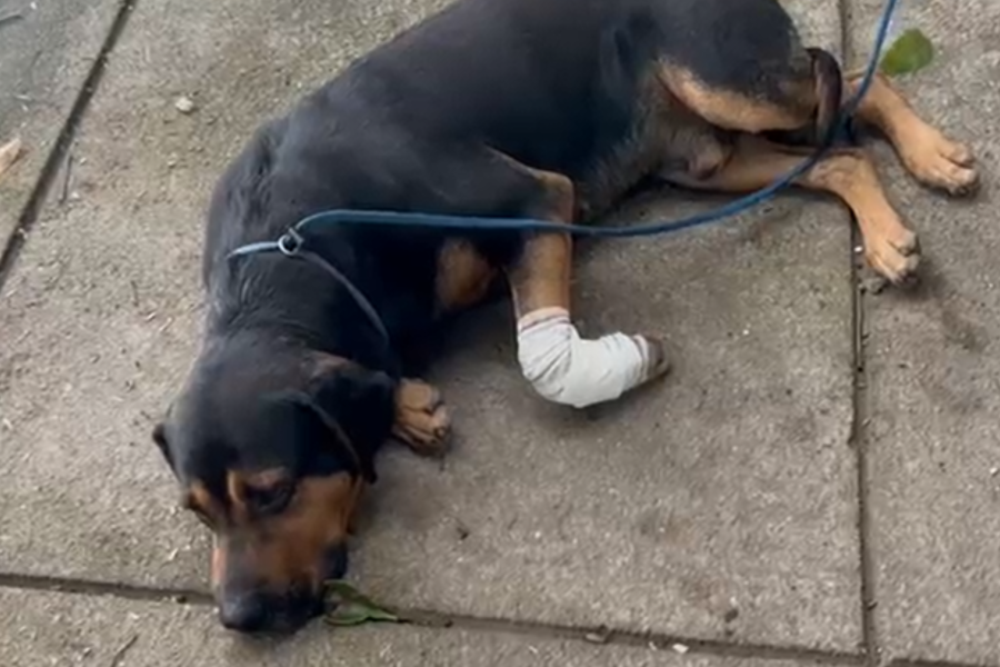 IMAGENS PARA O SITE - 2025-09-26T122110.467