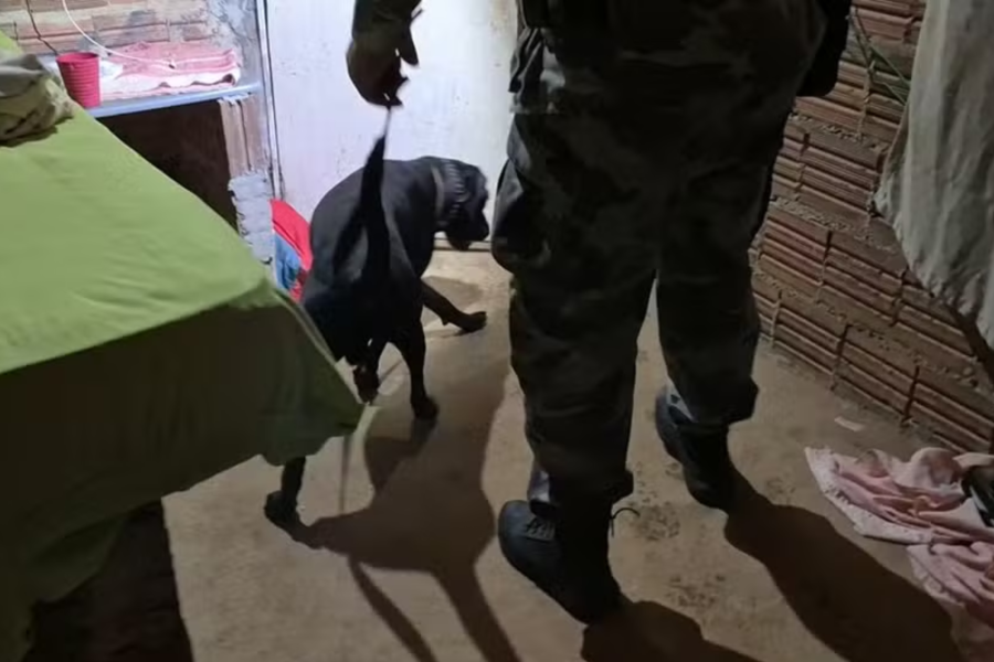 IMAGENS PARA O SITE - 2025-11-28T092940.074