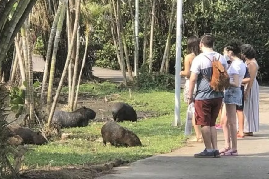 IMAGENS PARA O SITE - 2025-12-09T121513.620