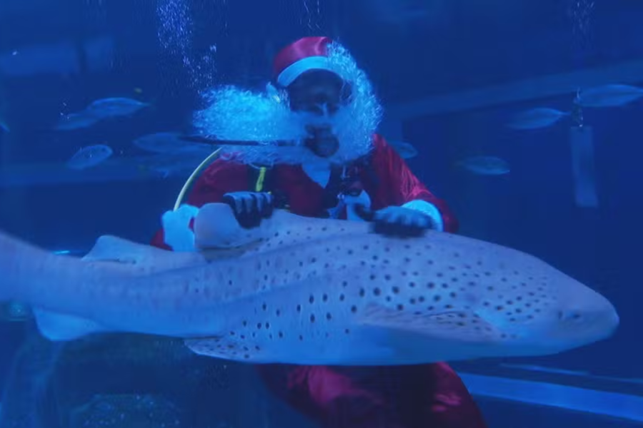 IMAGENS PARA O SITE - 2025-12-24T164715.549