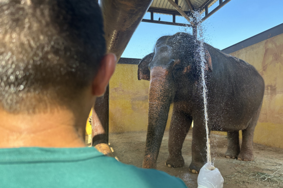 IMAGENS PARA O SITE - 2025-12-29T184438.835