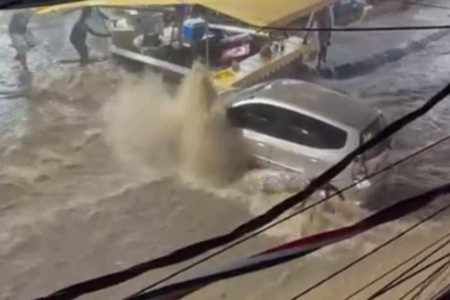 IMAGENS PARA O SITE - 2026-02-12T083532.518