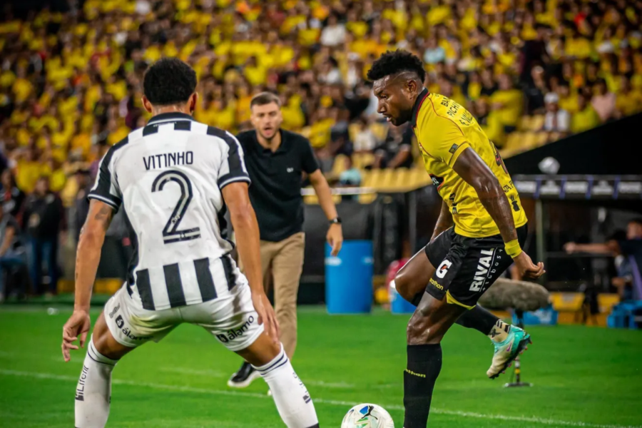 IMAGENS PARA O SITE - 2026-03-04T085415.886