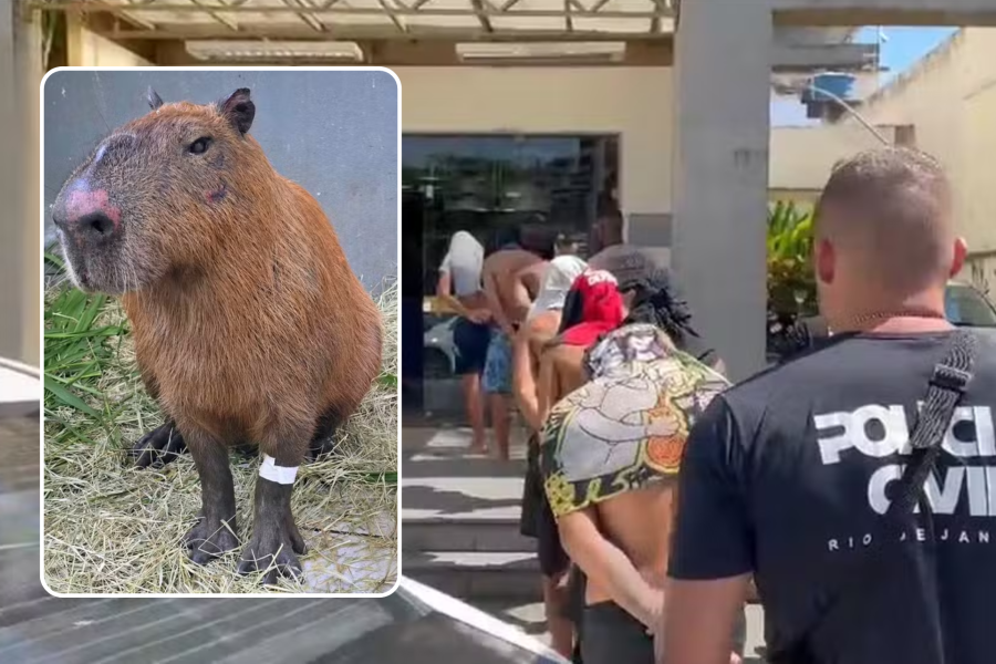 IMAGENS PARA O SITE - 2026-03-23T102807.259