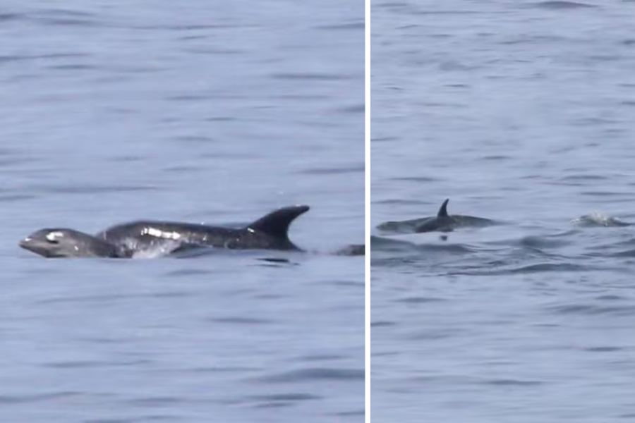 IMAGENS PARA O SITE - 2026-03-30T151558.584