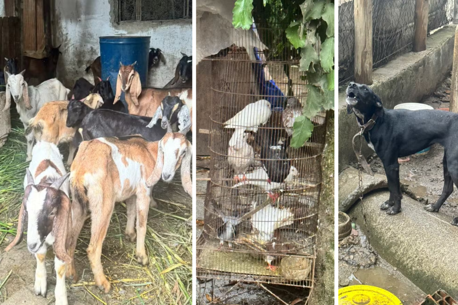 IMAGENS PARA O SITE - 2026-04-02T105906.294