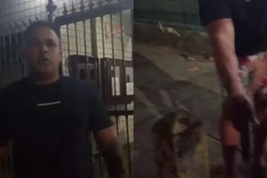 IMAGENS PARA O SITE (21)