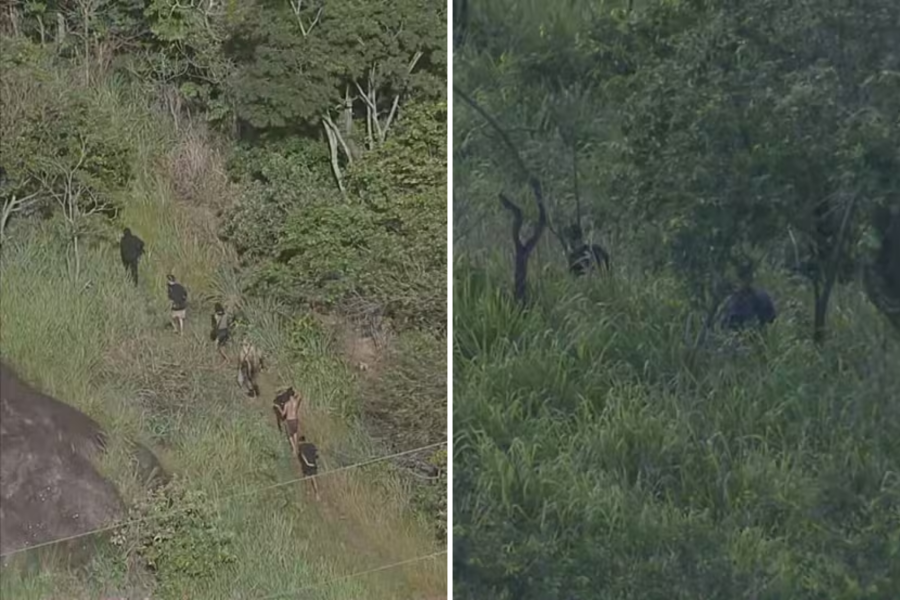 IMAGENS PARA O SITE (22)