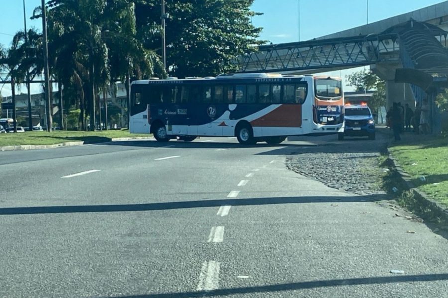 IMAGENS PARA O SITE (22)