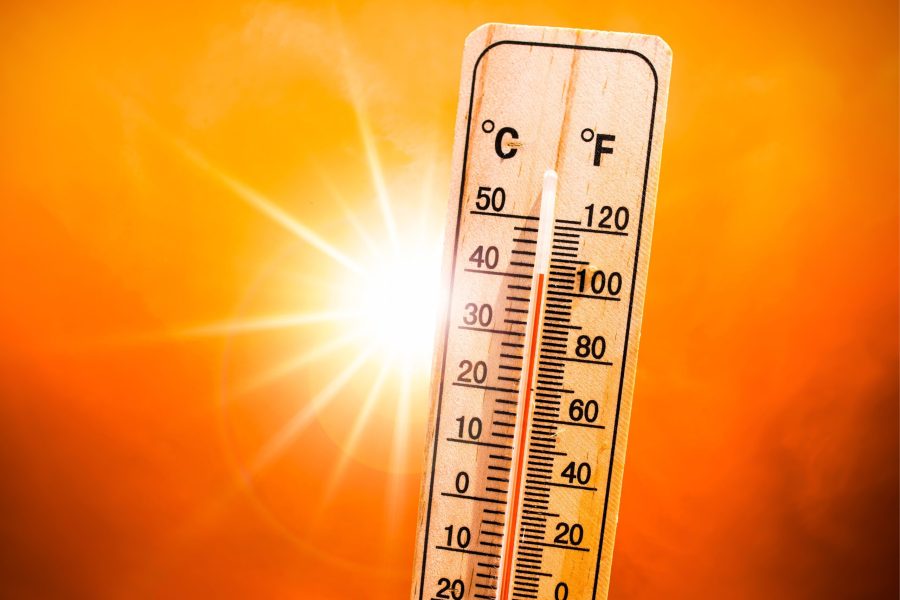 IMAGENS PARA O SITE (23)