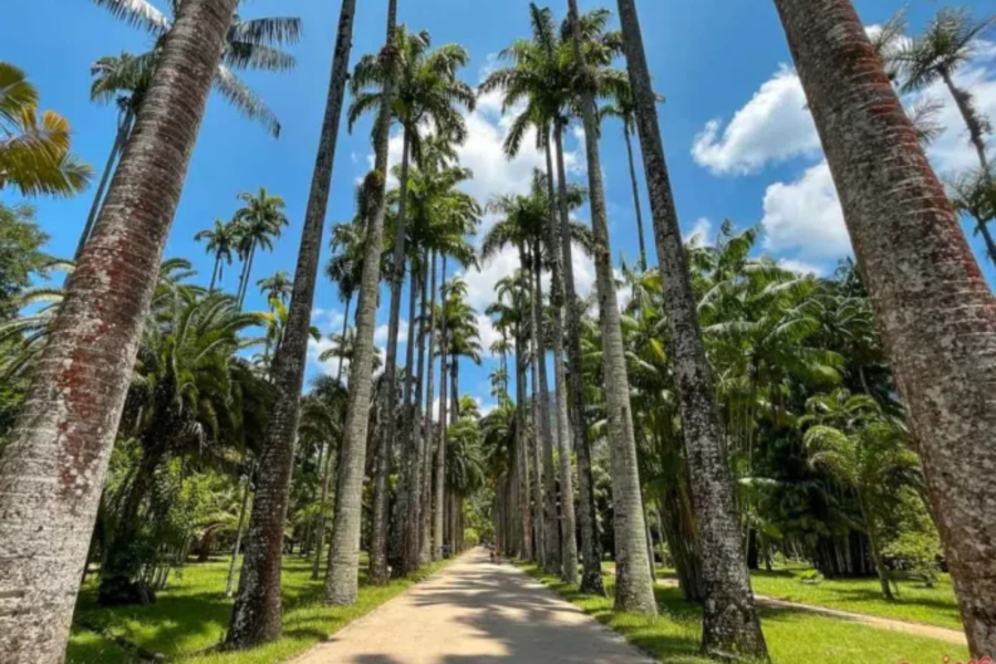 IMAGENS PARA O SITE (25)