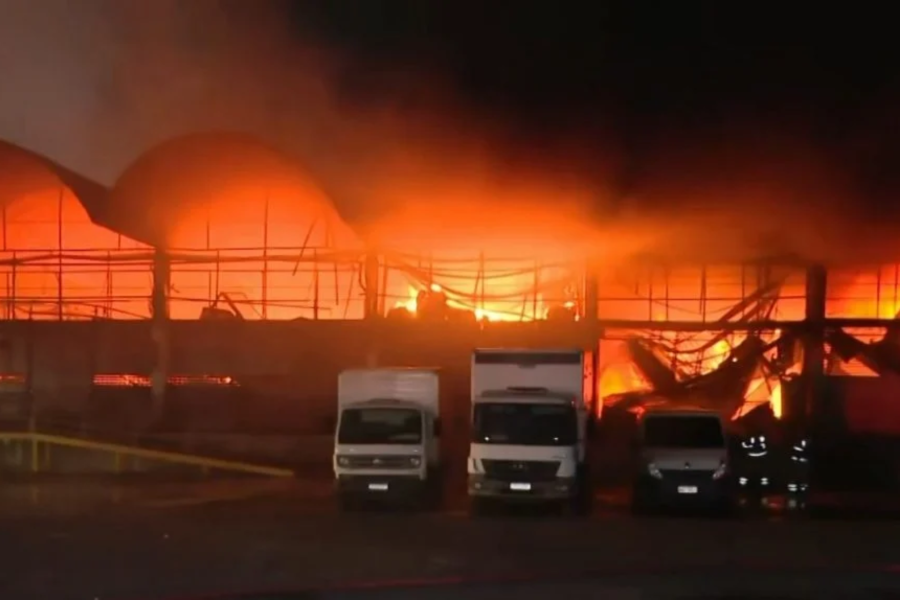 IMAGENS PARA O SITE (29)