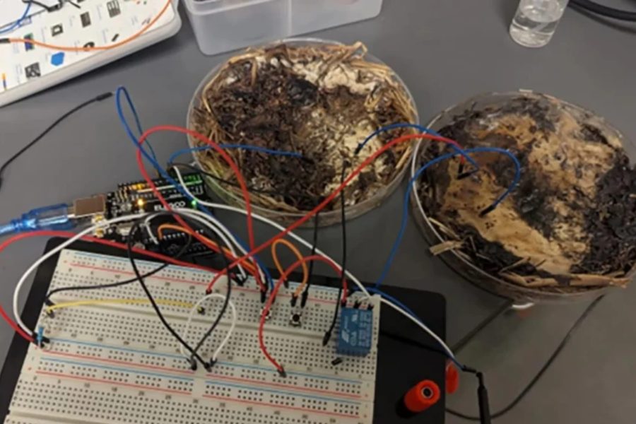 IMAGENS PARA O SITE (3)