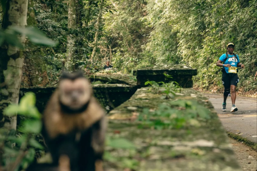 IMAGENS PARA O SITE (3)