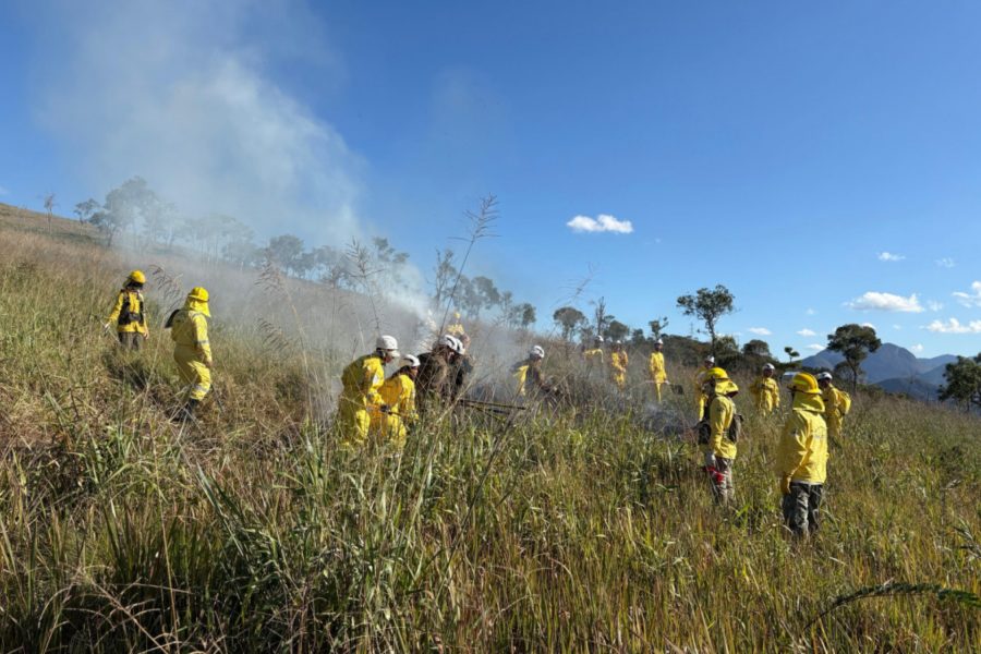 IMAGENS PARA O SITE (3)