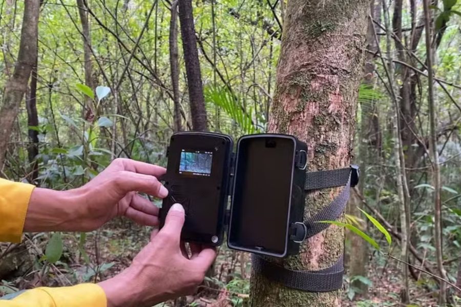 IMAGENS PARA O SITE (31)