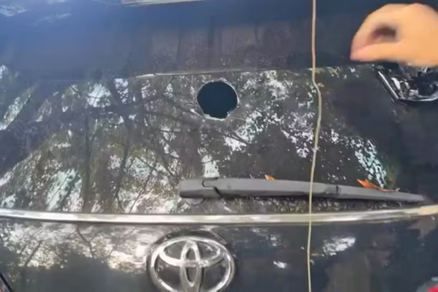 IMAGENS PARA O SITE (31)